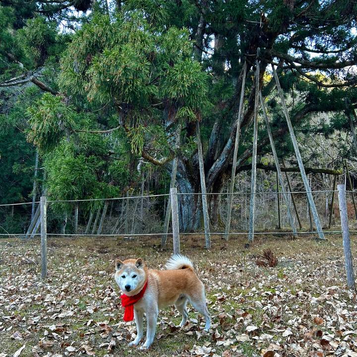 B4b8c310 234b 443d 8c7f c561ca58cc04 1765537031824