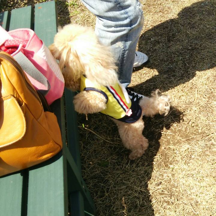 B4b8e2cc 50cc 4764 b2be 4c25a30670c0 1556542797027