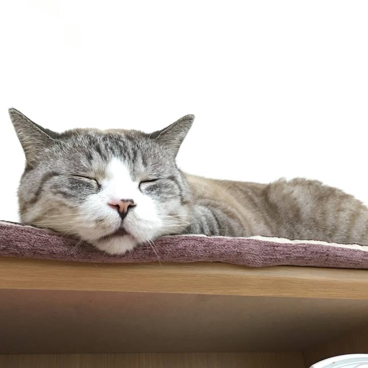 B4b8e421 1ee5 4e88 97db 3ce679dc1ab4 1519287594014