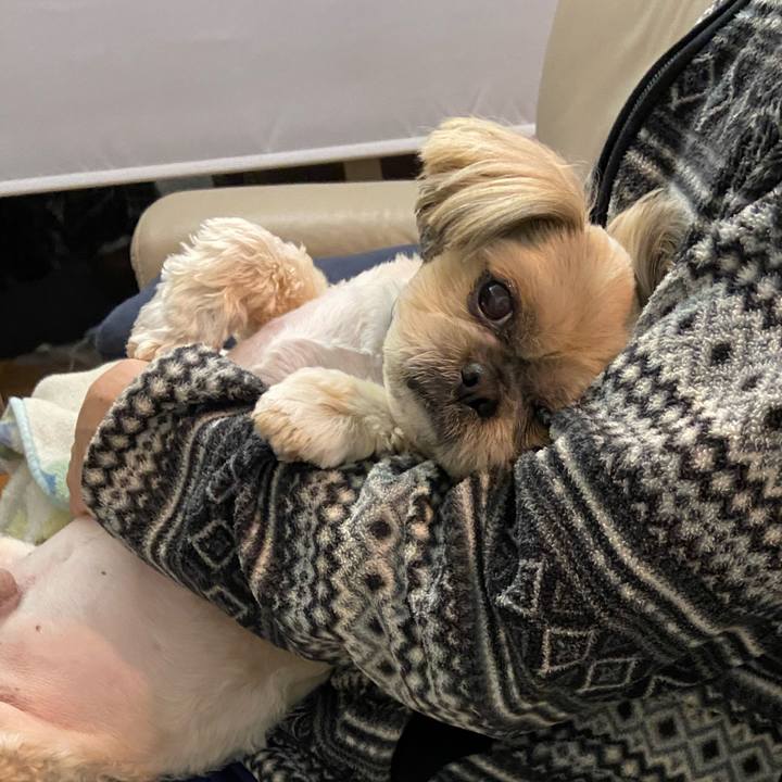 B4b8ebec 883c 4166 bdfa c6ce19d52f9e 1583838944300