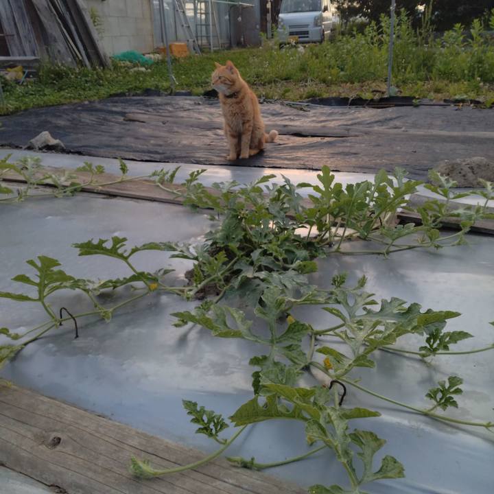 B4b90751 7068 49eb ab62 99e60b712f4f 1718413078410