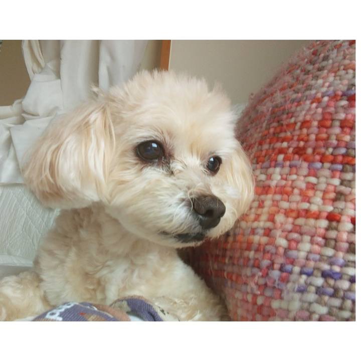 B4b91861 d252 4eb9 9246 3ee80714b490 1627957685137