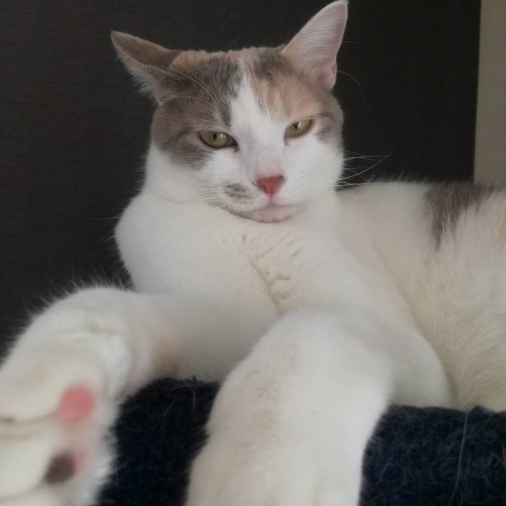 B4b93573 877d 4085 a305 189acb2cdee1 1528944039053