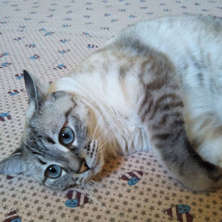 B4b939bf 40b3 4454 8005 3c55be83e951 1533433050671