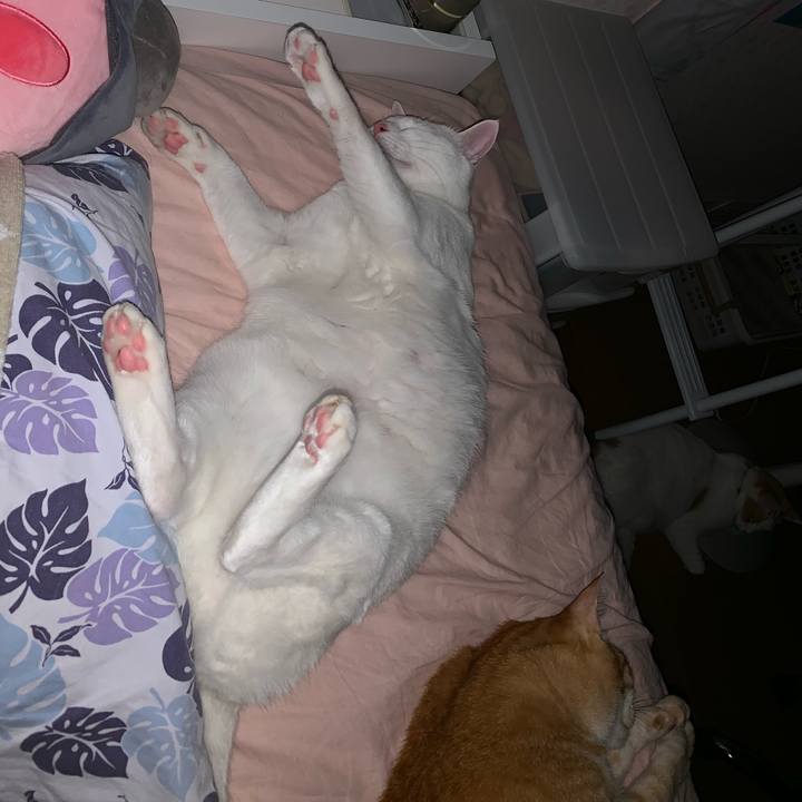 B4b93a07 5935 4179 a652 8b83b6c3e060 1561743803021