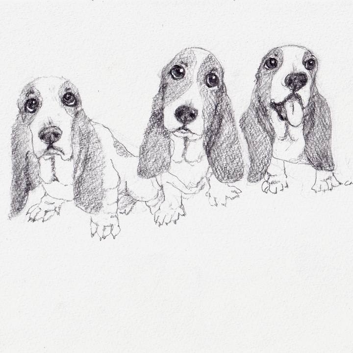 B4b93a46 4d05 454c bec5 e89eb222c156 1672281896381