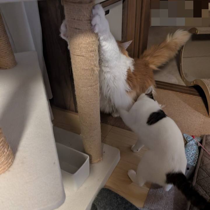 B4b94f72 ab0f 4e96 8e64 1c8db4fb2cf7 1748442689874