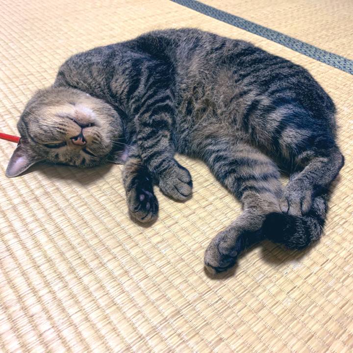 B4b9807d 151d 4234 ae9b b7645de1429a 1562336535441