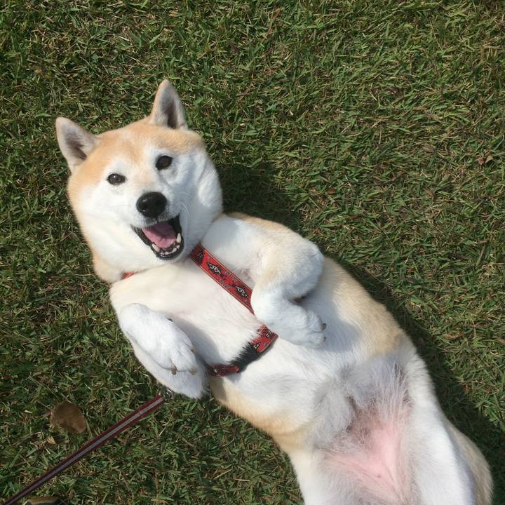 B4b9edec 3fd4 49f5 907f a6c884a10ac8 1549902634363