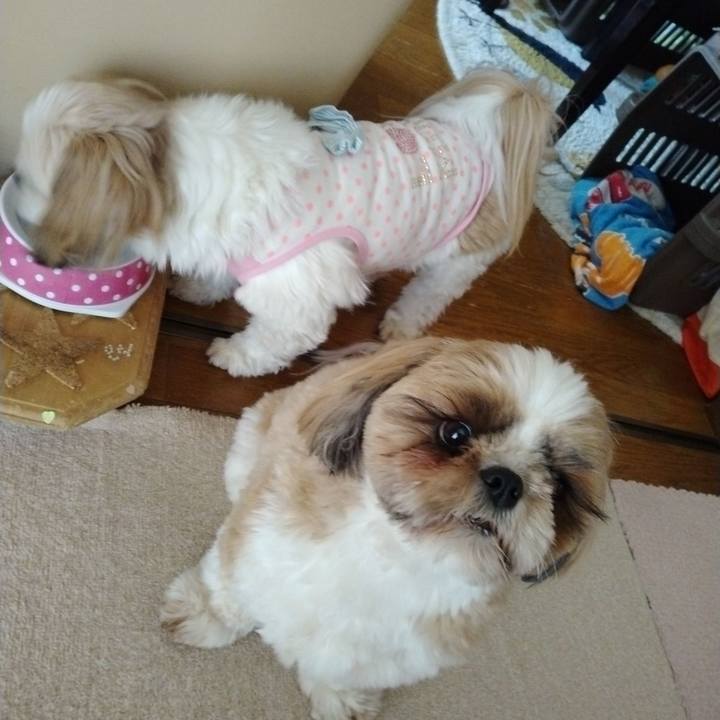 B4ba00e7 558d 4154 87a9 1d1735e7850a 1650428721056