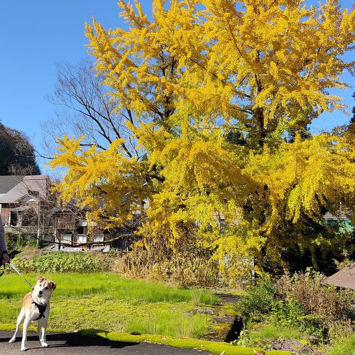 B4ba2b6e b56e 4777 a04c d825fffac06c 1636615749941