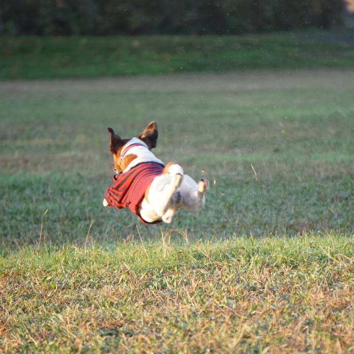 B4ba514a 15b6 474c a05c 3547f20a78d2 1542321994554