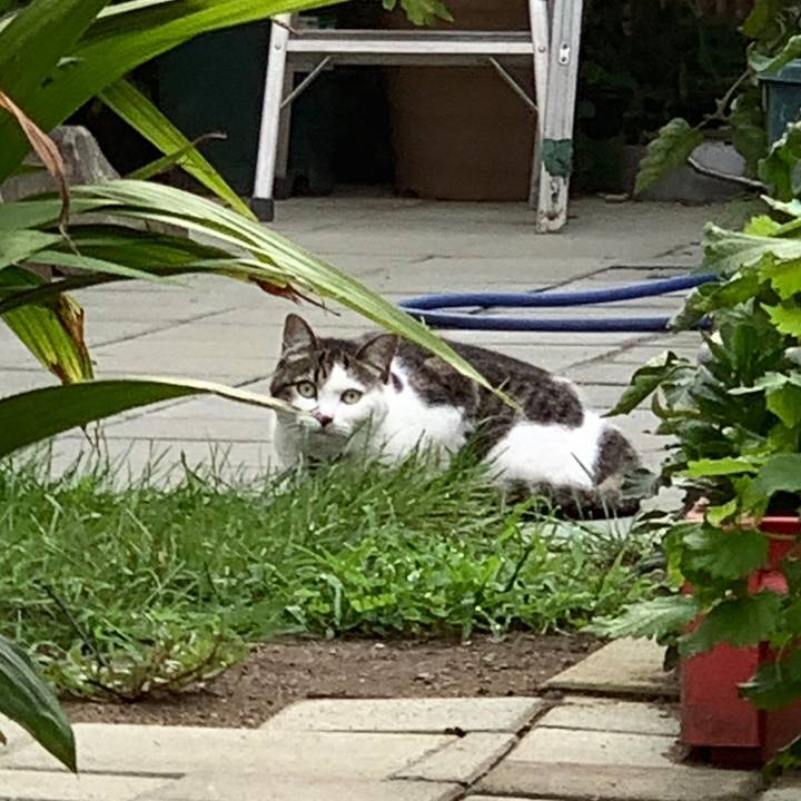 B4ba927e 04e6 4e3e 9a88 41e1495b1e51 1567344420968