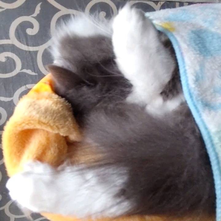 B4ba99e3 89c6 4229 8ca6 678a71ab1f10 1668933024795