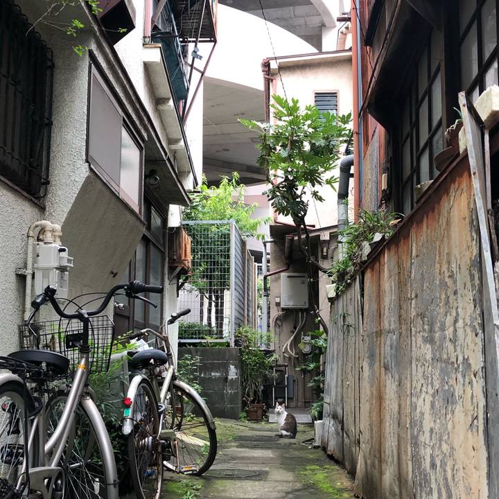 B4baf71c ab01 42a9 a6ba abdf144c81ce 1564045848759