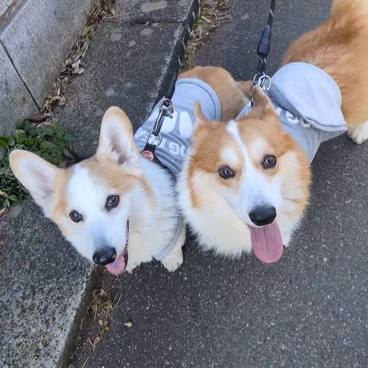 B4bb124c a8a5 4ef9 940b b32bc6271fbe 1767920336622