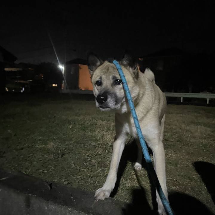 B4bb25f7 9110 4888 8486 d9aeda825c84 1702988009422