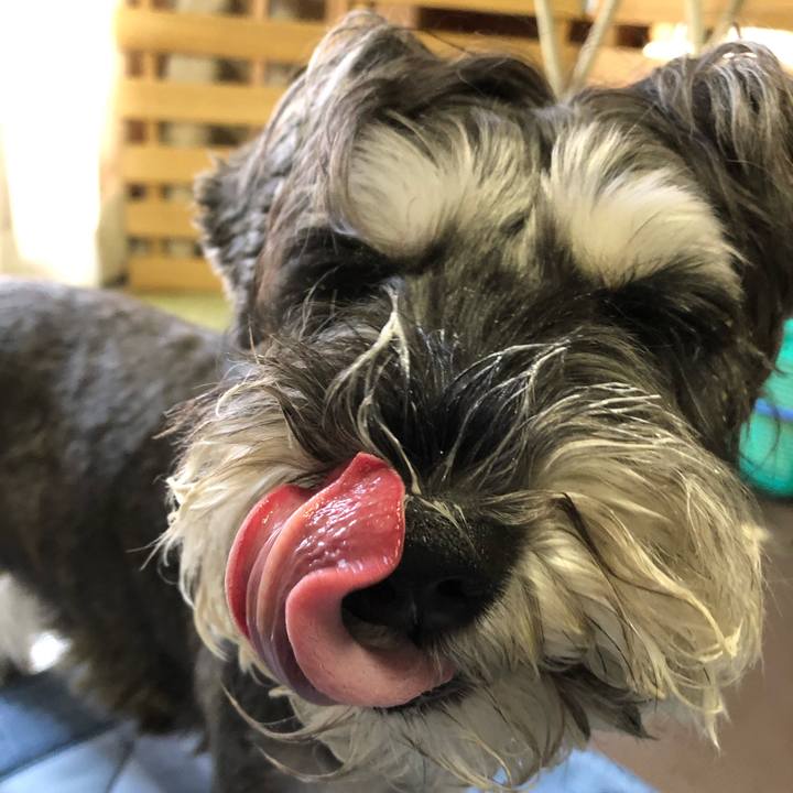 B4bb3cd9 eef2 4a8b 802d cfd1cf3a9a52 1662778501773