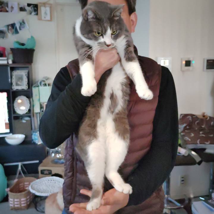 B4bb65d6 26cc 47d0 a872 94c5df6b381e 1673408332937