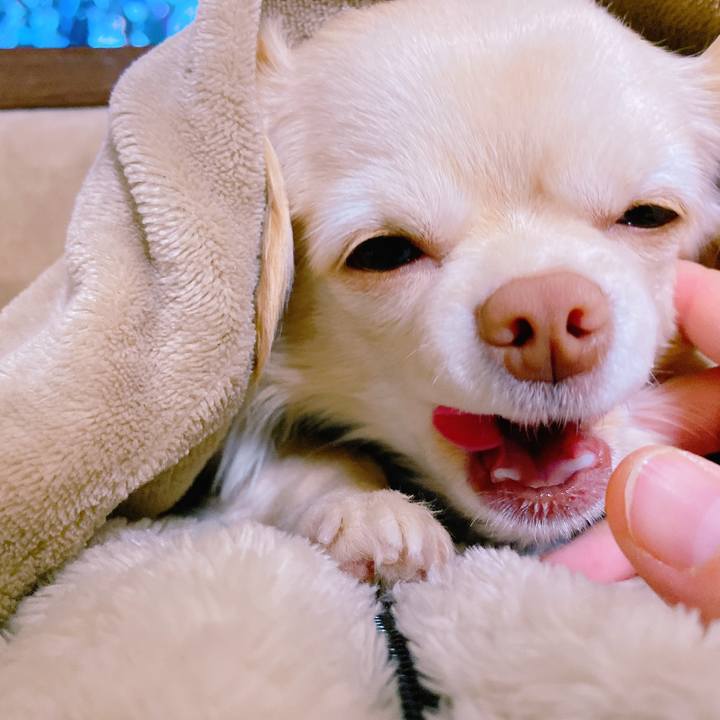 B4bb88df 718b 40c7 a673 b498448beaed 1642396622337