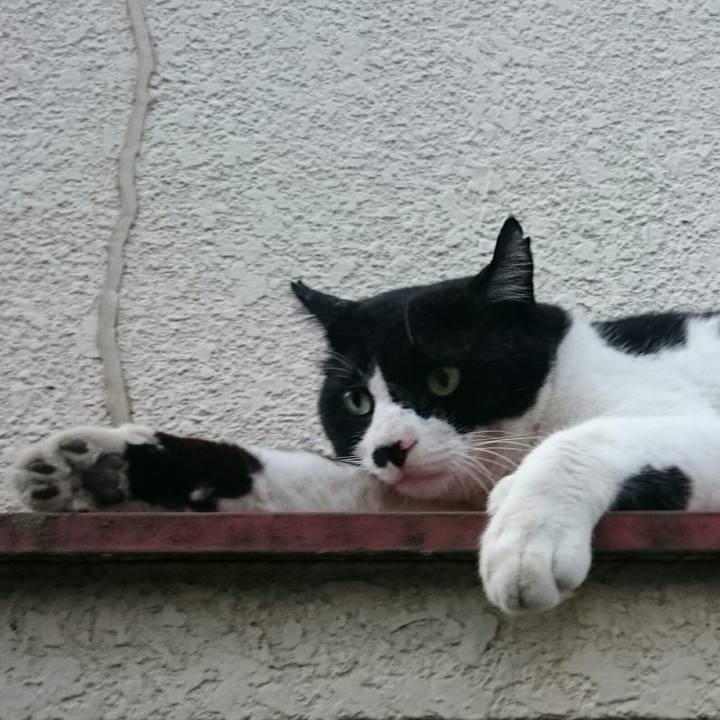 B4bbda26 c028 47fb ba32 dc3ff12040bd 1511502608554