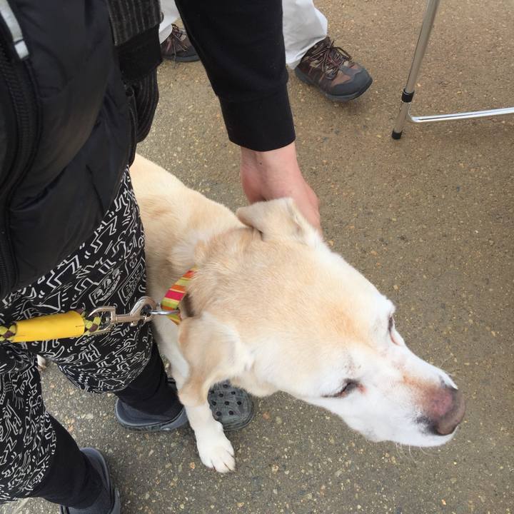 B4bbf534 676f 4e56 940c ee19fb2109b1 1523941886225