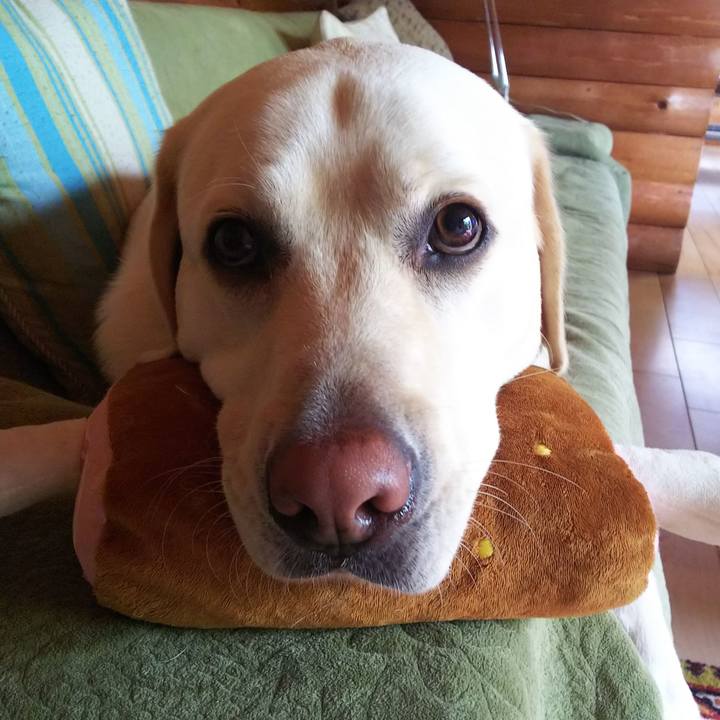 B4bbf75d d15a 4f41 974f db0775ba7c20 1527302740879