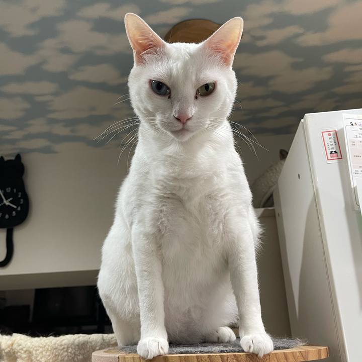 B4bc1611 789f 4d28 8ae1 f65fa0958ff4 1774940257002