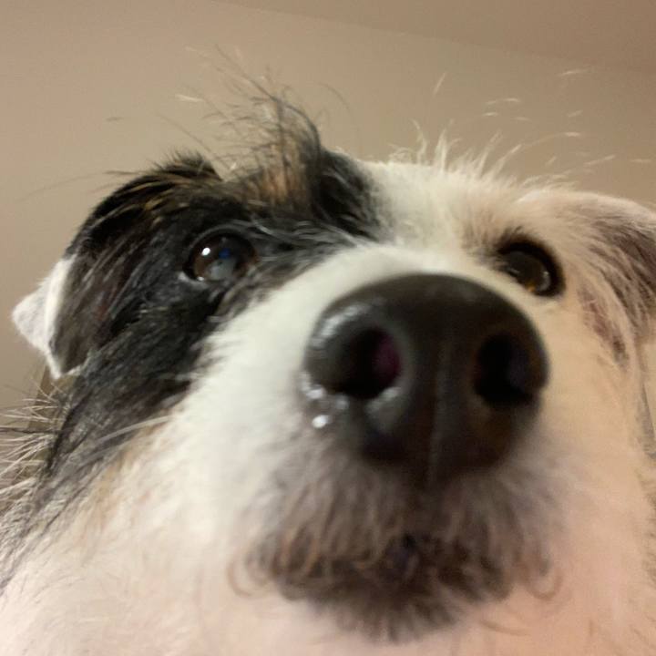 B4bc3b67 b0a4 40af 9609 baf8f4f427a4 1589629127998