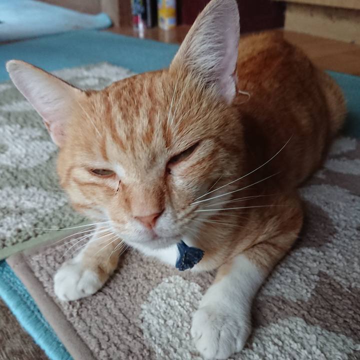 B4bc466e ed9e 4701 a611 6c7a2971eb58 1563872579323