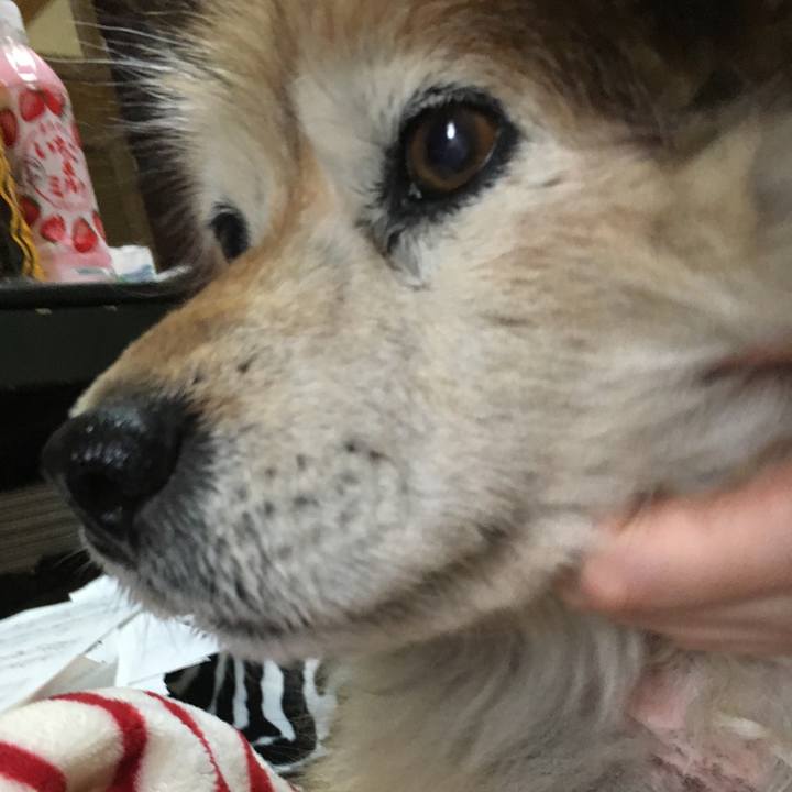 B4bc65b5 ddd4 49b7 bb06 cdc6ad137ebb 1595304851906