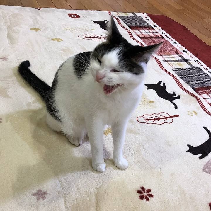 B4bc9f0f b05e 403d 9412 486f74f20a7b 1667997303332