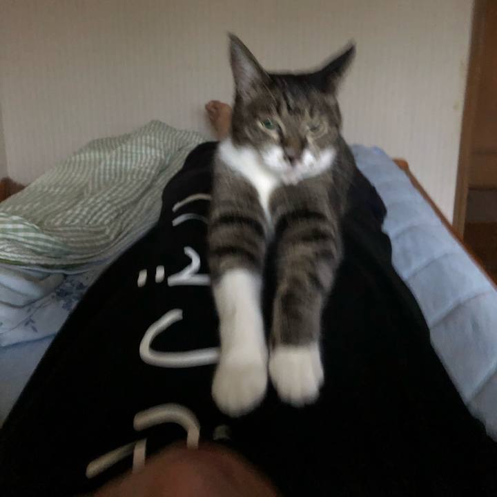 B4bcc545 0eb5 49a5 963e a8a6d8f26e2c 1564261090074