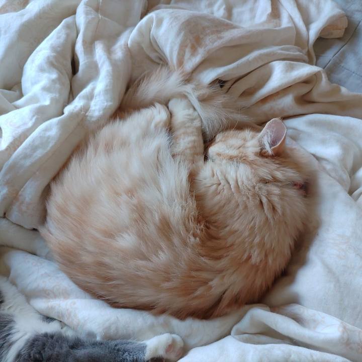 B4bd1563 0f79 4122 a0cf 712dbcc1a4b0 1666318651326