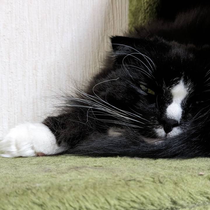 B4bd22ca d074 464a 8ae4 1a20a88638b2 1702558550147