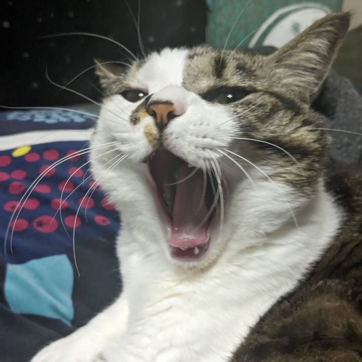 B4bd25e1 f513 444c 815b ce8307b20055 1710067938022