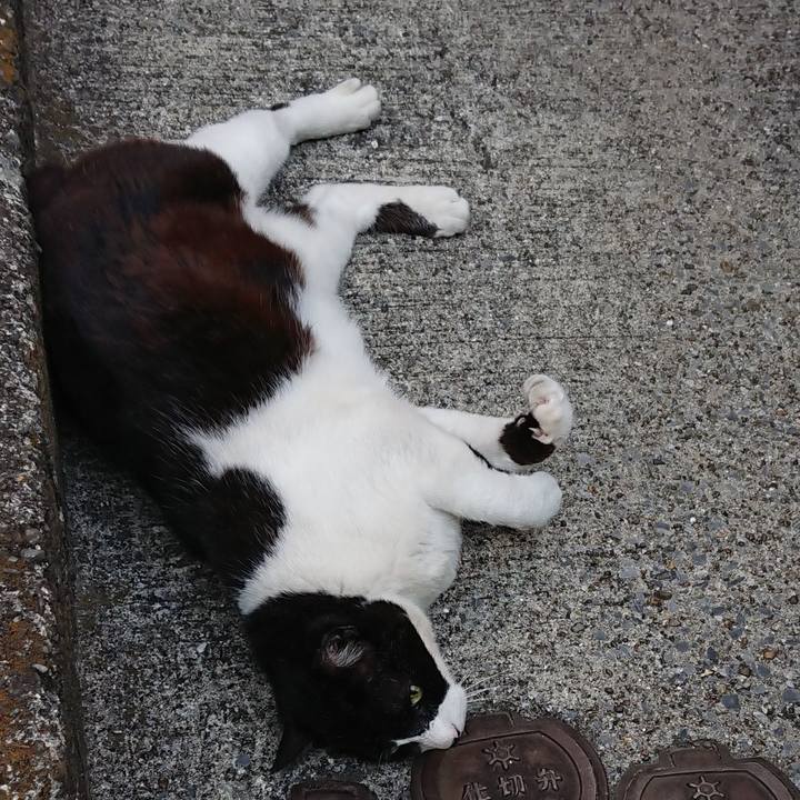 B4bd3ca4 74df 4e1e bd91 b8430a669e94 1620028950767