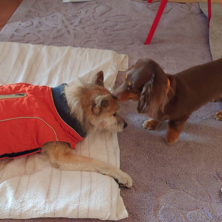 B4bd4a5a 2dd0 42ba a558 2beaa128a882 1643523876734