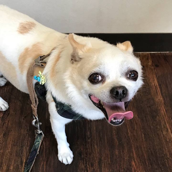 B4bd58bf cd24 45a4 8895 7994dbc54da6 1528451903010