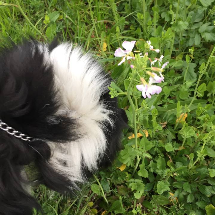 B4bd77ec 0023 469a 8c72 213754612053 1583364081017