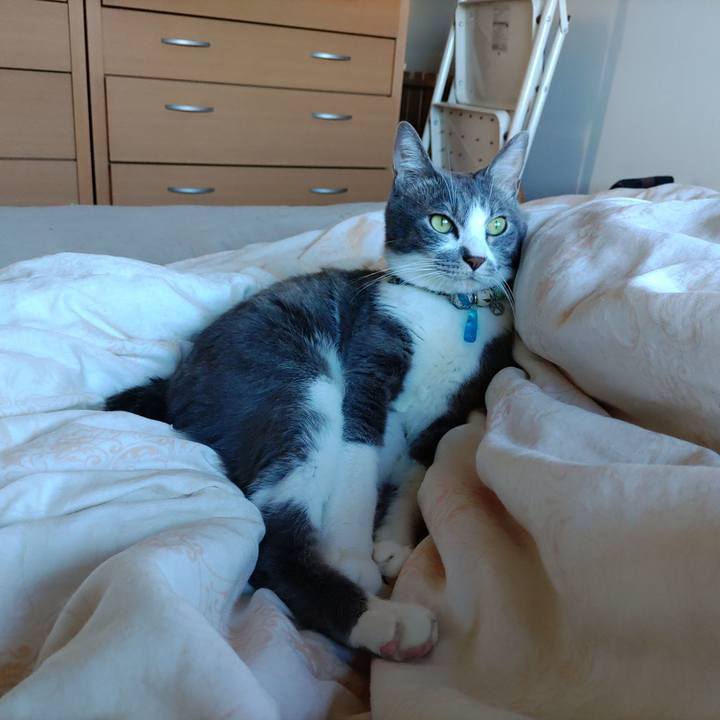 B4be234c ccbc 4979 ba77 2161f3e0c558 1697942041396