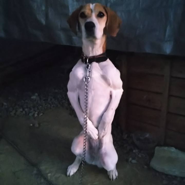 B4be67e4 a490 4635 8090 b6ddd62e58f3 1644570441253