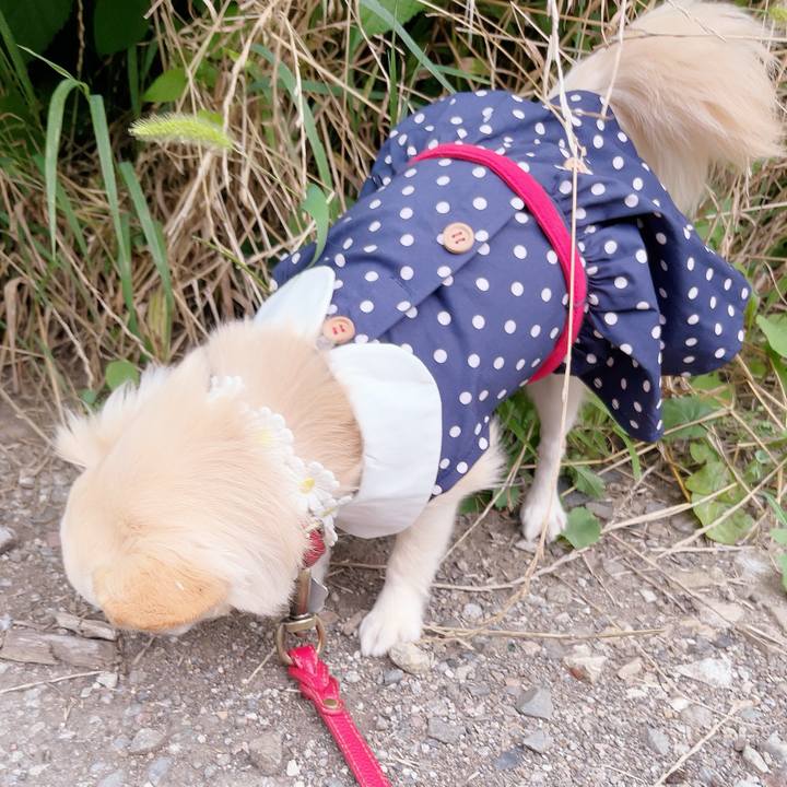 B4be68db 246b 4a25 b904 6a547c2ae806 1689330492181