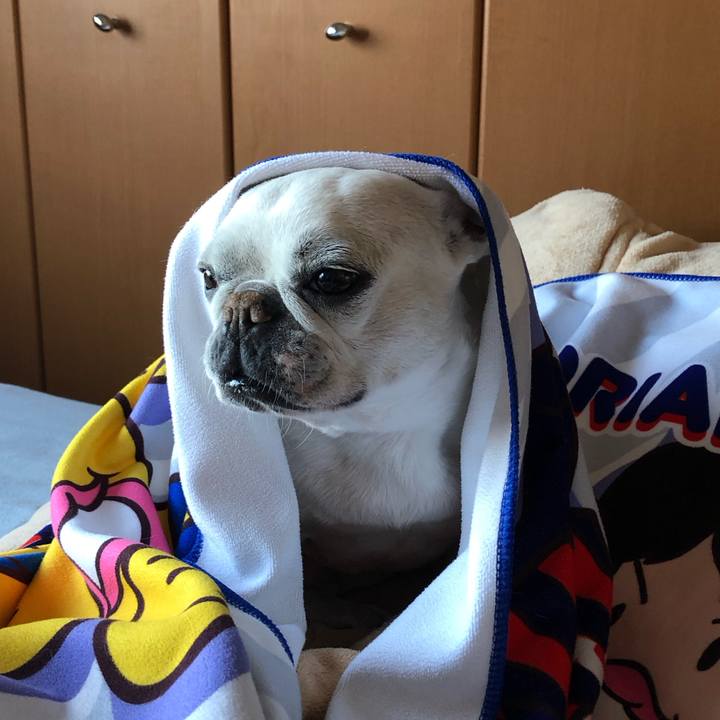 B4be6d60 1ff1 420a 84bc bd913664931f 1677837634833