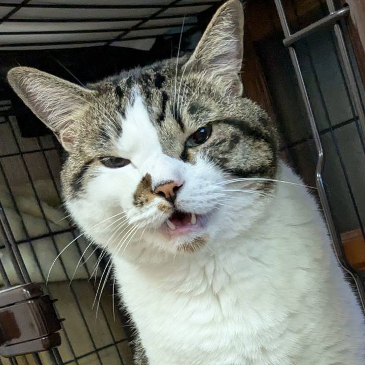 B4be75b8 b68c 4272 9b78 2a3aa32ccc28 1721735834482