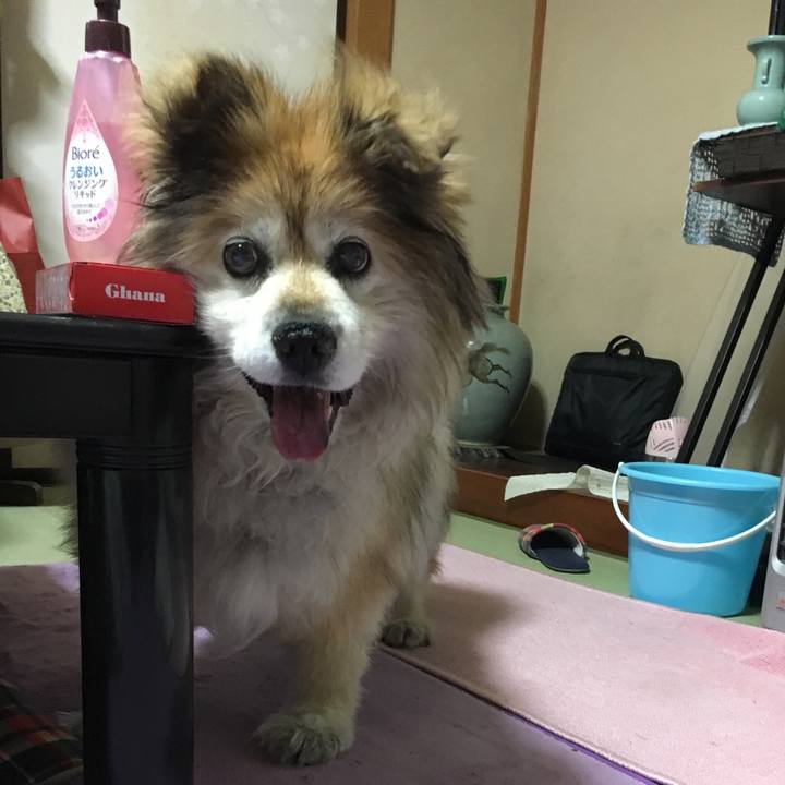 B4be85b4 bc31 48f3 8d7a 7f5a15cb9261 1565489996162