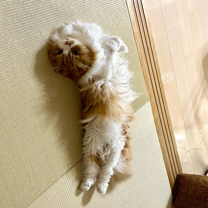 B4be93c5 39ea 4e9c b5ce 3142ed455766 1687221010896