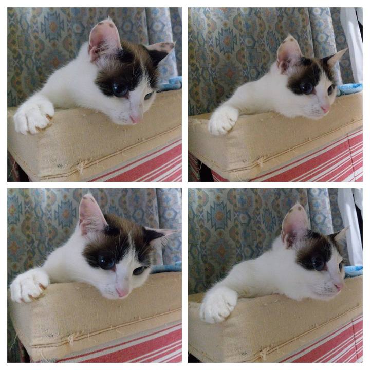 B4beb366 484e 45bf a058 d3dcca895357 1548846850714