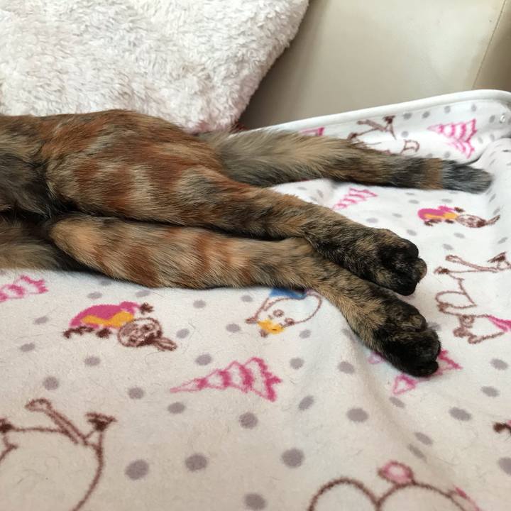 B4beb984 030d 4606 926f cdda03769e61 1645254594287