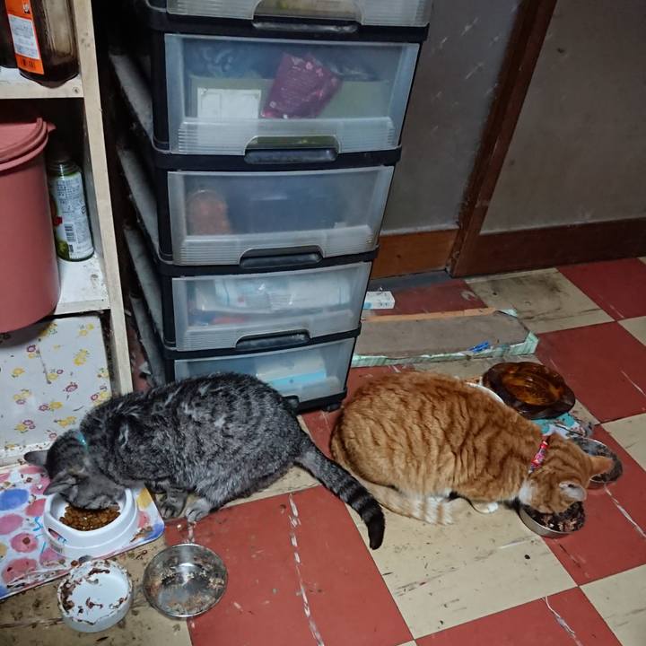 B4bebaaf b8a7 4f7d a41c 1755b2314095 1577577213631